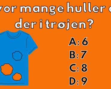 Denne gåde får frustrationerne til at stige: Hvor mange huller er i denne trøje?