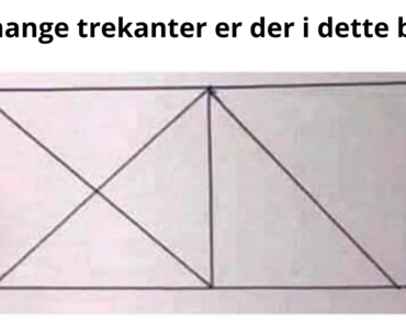 Hvor mange trekanter er der i dette billede? 62% VIL FEJLE