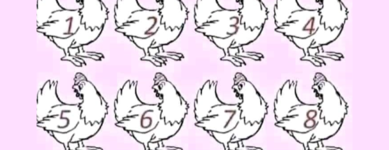 Kun kloge mennesker ser dette: Hvilken høne er forskellig fra de andre?