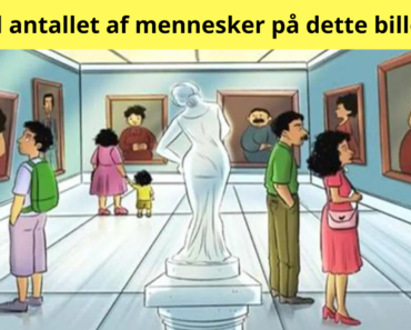 Hvor mange mennesker ser du på dette billede? 90% af besøgende laver fejl!