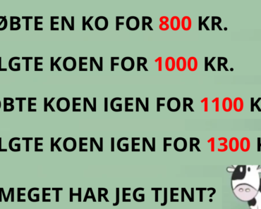 Næsten ingen kan løse denne ko-gåde! Hvor meget har jeg tjent?