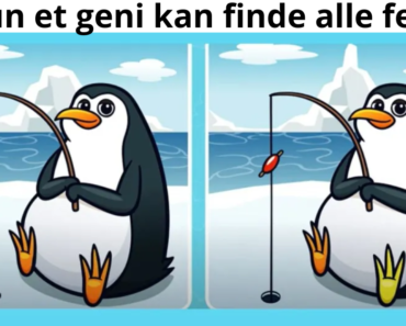 Kun et geni kan finde alle fejl…