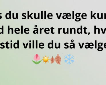 Hvis du skulle vælge kun én årstid hele året rundt, hvilken årstid ville du så vælge? 🌷 🍂 ❄️