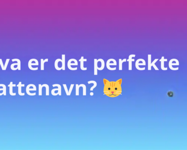 Hva er det perfekte kattenavn? 🐱