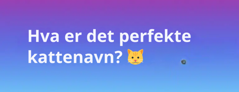 Hva er det perfekte kattenavn? 🐱